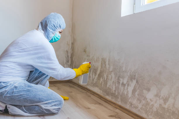 Commercial Mold Remediation assessment for commercial property in Edgewood